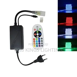 Power Plug RGB LED Strip 1000w IR Remote Controller 220v