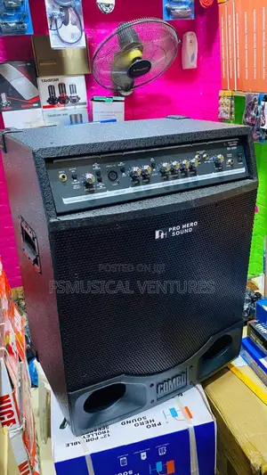 Pro Hero Sound 15" Bass Combo