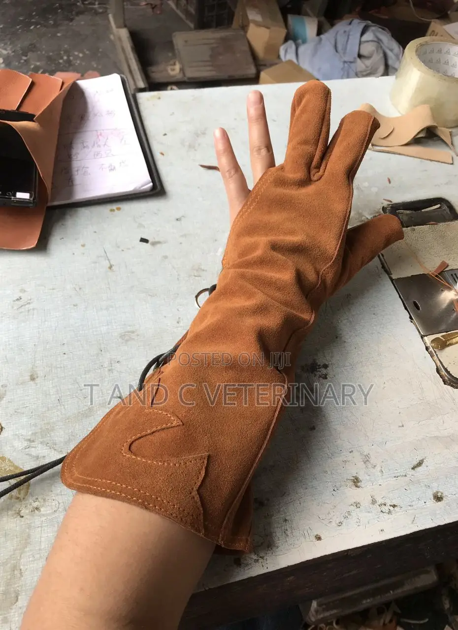 Bird Parrot Handling Gloves Pair