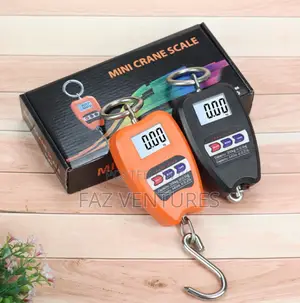 Crane Scale 200kg Digital With Abs