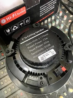 25watts Ceiling Speakers Lucky Tone