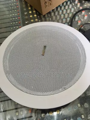 Lucky Tone 100watts Ceiling Speakers