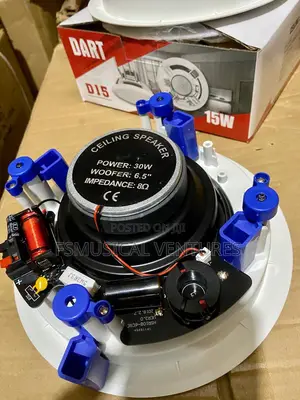 Dart 30watts Ceiling Speakers
