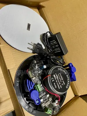 Dart 20watts 2in1 Ceiling Speakers