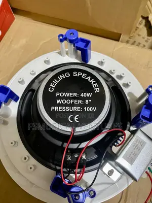 Dart 40watts 8" Ceiling Speaker With 100v