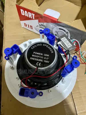 DART 30watts 2in1 Bluetooth Ceiling Speakers