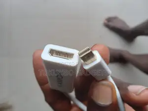 Mini Display Port To Female HDMI