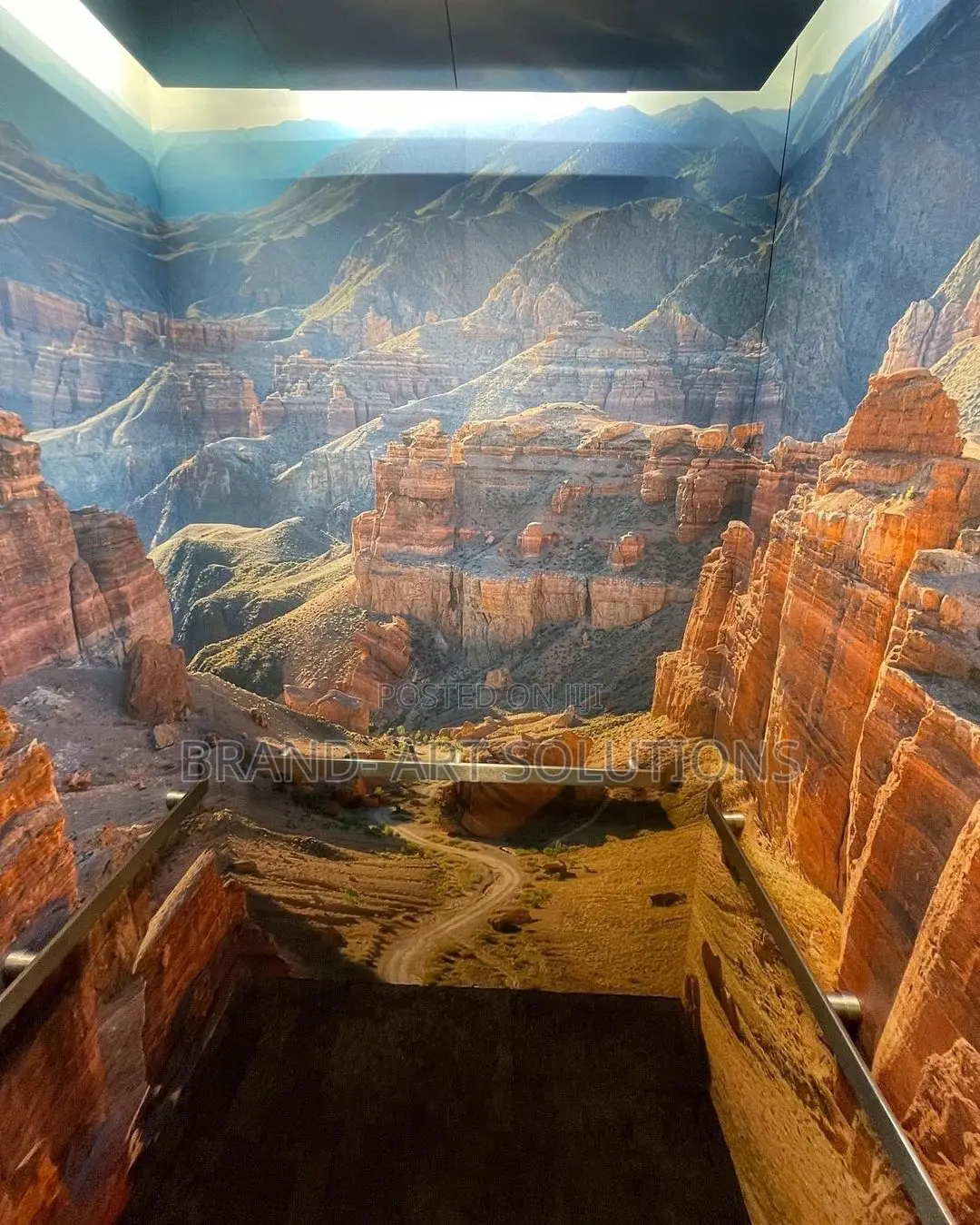 Wall Murals