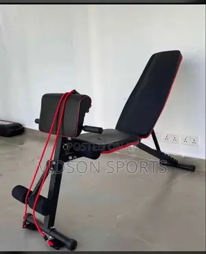 Adjustable Sit-Up Bench