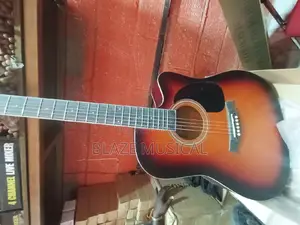 Standard Acoustic Box Guitar