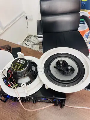 Quality Audio 350watts Ceiling Speakers With Amplifier 