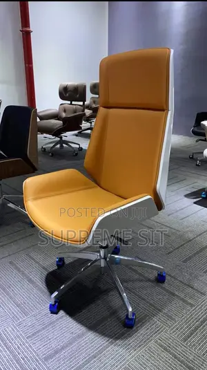 Luxury Office Chair.