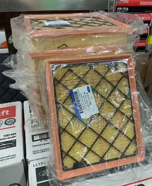 Ford Fusion Engine Air Filter