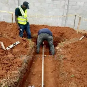 Building Expert