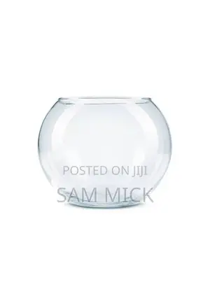 6 Liters Empty Fish Bowl