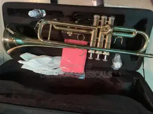 Trumpet Golden Color