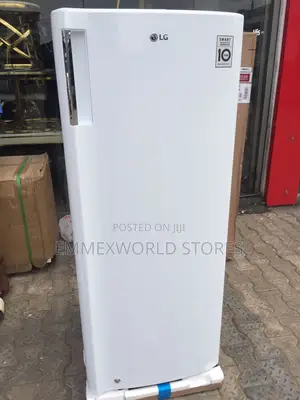 Lg Upright Freezer 304r