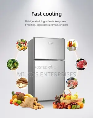 Skyrun Double Door Refrigerator