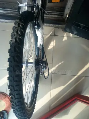 Adult Size 24 Riding Bike With Gear Selector