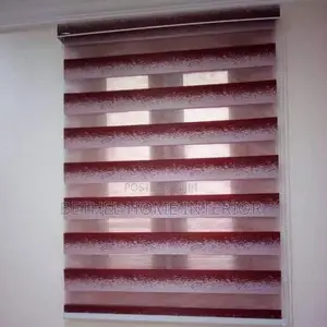 Day and Night Window Blinds