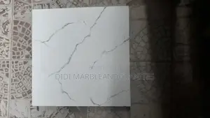Toilet Floor Tiles 40 X 40