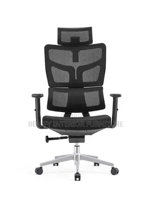 Ergonomic Executive Office Chair
