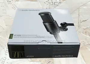 At 2020 Condenser Microphone
