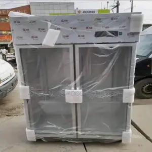 Snow Sea Chiller