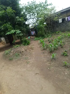 Half Plot for Sale at Iyana Iyesi