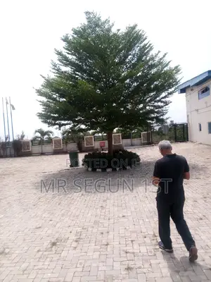 Factory to Let