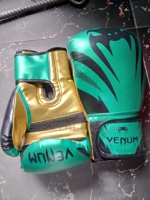 Venum Boxing Gloves