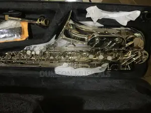 Alto Saxophone  Silver Color