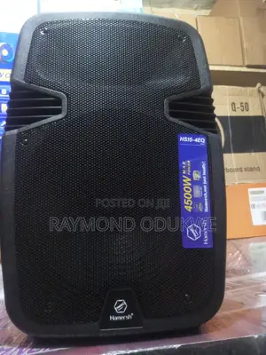 Professional 15" Inches Rechargeable Bluetooth Speaker