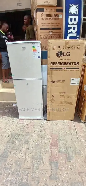 LG Quality Double Door Refrigerator With 3years Warranty