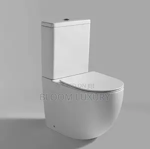 Executive Masters Back to Wall Toilet