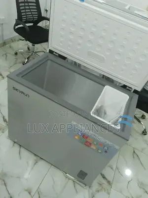 Fast Frozing Skyrun Easy to Maintain Chest Freezer