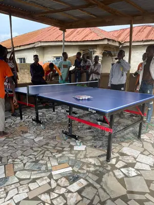 Indoor Table Tennis Board Games With Accessories
