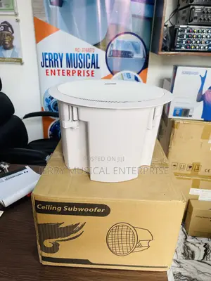 Lucky Time Ceiling Subwoofer