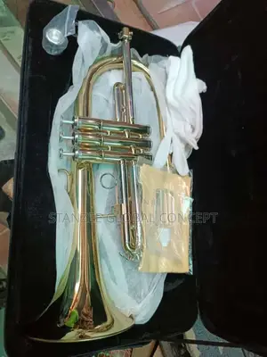 Professional Flugelhorn Gold With Mouthpiece