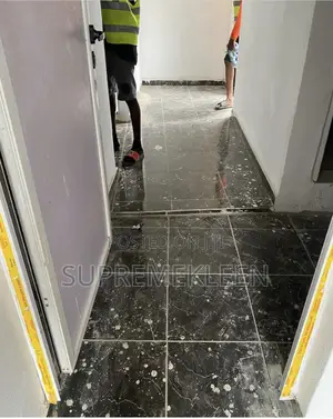 Toilets,Sinks and Entire Bathroom Cleaning Services