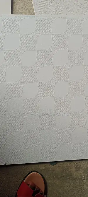 Suspended Ceiling Tiles 60×60 Laminated Back