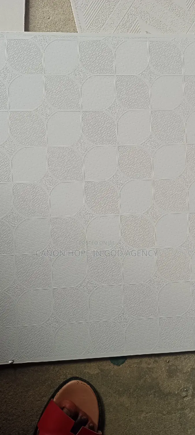 Suspended Ceiling Tiles 60×60 Laminated Back