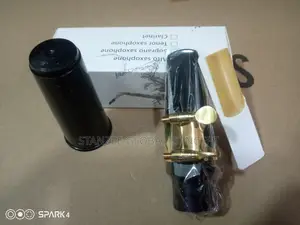 Alto Saxophone Mouthpiece
