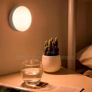 Body Induction Light (Sensor Light)