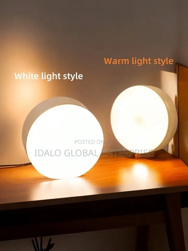 Body Induction Light (Sensor Light)