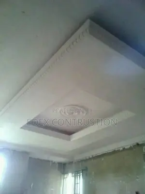 Pop Ceiling and Paint