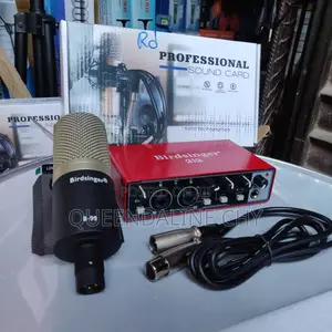 Professional Sound Card Bird Singer 212 and Microphone B-99