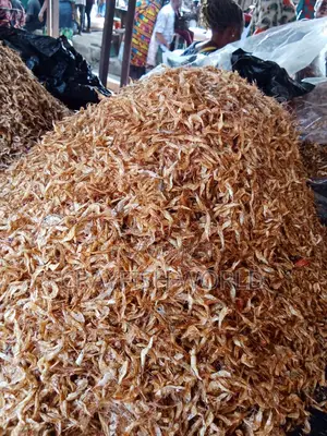 Sweet Oron First Class Crayfish From Zion