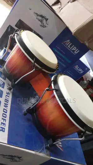 Bongo Drum Set