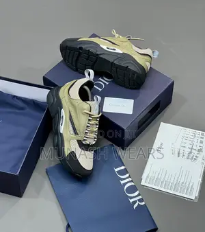 Dior Luxury Sneakers